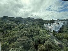 NEW景安文匯邊間兩房+平面車位~住商呂建勳