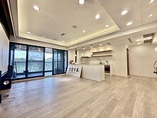 獨家專任安康電梯景觀絕美裝潢坡平車