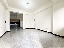 鹽水近市區朝南全新車墅