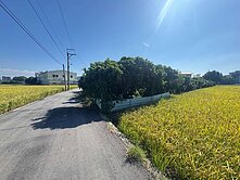 獨家銷售｜市區旁｜都計內｜荔枝園農地｜屋主誠意出售