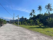 麟洛近義大商圈悠閒都計小農地