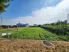 大寮昭明｜臨10米路｜方正都內農地