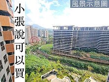 輕軌捷運9分鐘🏅鴻灃青公司田溪綠景2房大平車