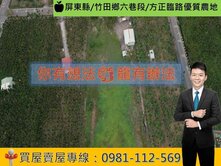 屏東縣/竹田鄉六巷段/方正臨路優質農地