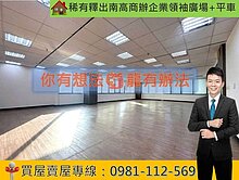 稀有釋出南高商辦企業領袖廣場+平車