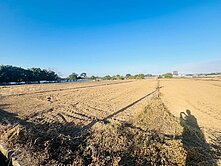 航空城旁美農地