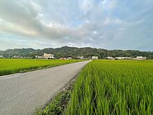 金獅九街正路邊大面寬漂亮農地~~