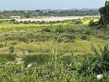 恩典優質阿蓮市區旁景觀休閒美農地