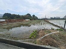 近阿蓮市區崗山農情綠境有水有電方正美農地