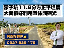 深子坑11.6分方正平坦農地