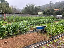 台達電後面 一般農地