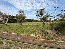 151高上路雙面路一般農