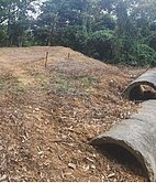 三峽大同路殯葬用地