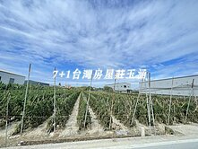 大寮面寬方正農地