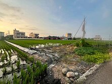 清水三田國小~開心農地☆稀有釋出