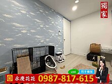 🌺天祥街 北屯低總價首購族看這裡全新整理四房美寓