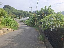 很厲害的芭樂園‼️燕巢金山路三角窗農牧用地