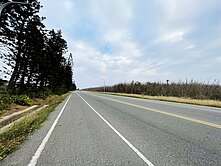 澎湖白沙臨12米路農牧地 低總價卡位未來