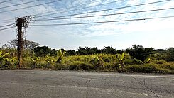 彌陀南庄段/漂亮休閒農地B.資材室.農業設施.植樹