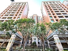 農十六|亞歷山大|邊間明亮高樓大三房車位