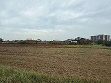 觀音大潭田園特定農地