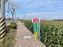 【專】下營㊣20米路｜大面寬｜方正農地