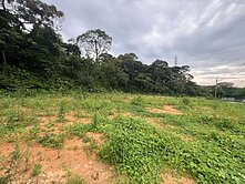 平鎮工業區旁都內田