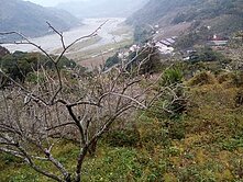 薰衣草臨路美山坡地