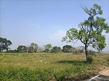 🎀苗栗聯大旁,高科技廊帶萬坪建(農)太空基地🎀