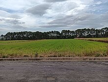 新屋三民路一段方正千坪農田