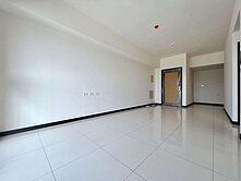 文心大慶全新未住3房平車