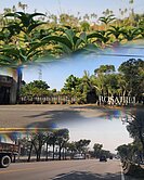 古坑玫瑰園景觀農地