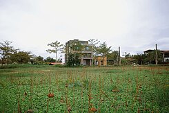 專宜蘭睿至~羅東運動公園旁~稀有310坪農地出售!