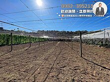 約35米大面寬‼️臨路方正農地找健豪✨