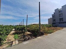 燕巢都內/方正農地/市區生活機能即享