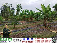 眺望大武山優選農地