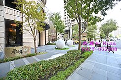 七期國泰層峰/頂級裝潢/總裁豪宅