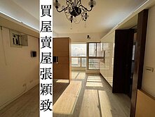 低總價4房平車🏅世界之窗新春街有河景