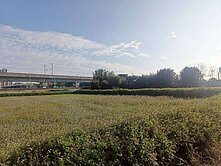 青埔棒球場302坪農地