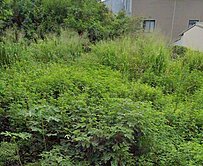 ~神岡清水交界~超值低總價建地