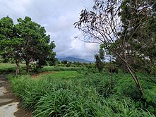 恆春德和段8分超便宜休閒農地