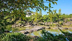 美濃紫蝶段開心農場