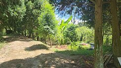 三峽有木景觀美農地