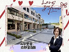 *緹疄推薦*沙鹿靜宜商圈-全新山水豐晉別墅