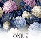 鑄慕層峰2房車⭐️住商黃玉瑩