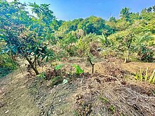 紘緯推薦💕 燕巢近金山國小3.9分林業用地出價談