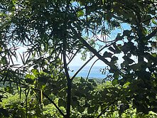 新北三芝大坑段美景農地