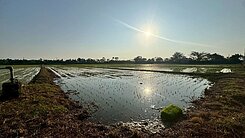 🚩獨家💯 🌈誠 可 談 價  農地白河 🌈