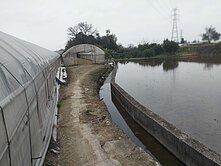 專任近八德交流道茄苳溪旁半甲多農牧用地地