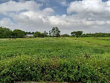 觀音市區280坪農地